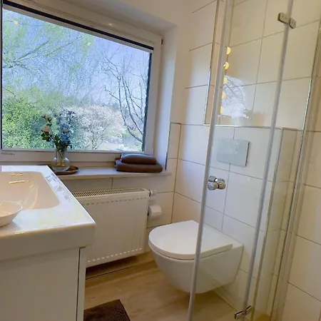 Strandrobbe-3 Cuxhaven